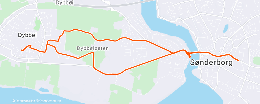 Карта физической активности (Afternoon Run)