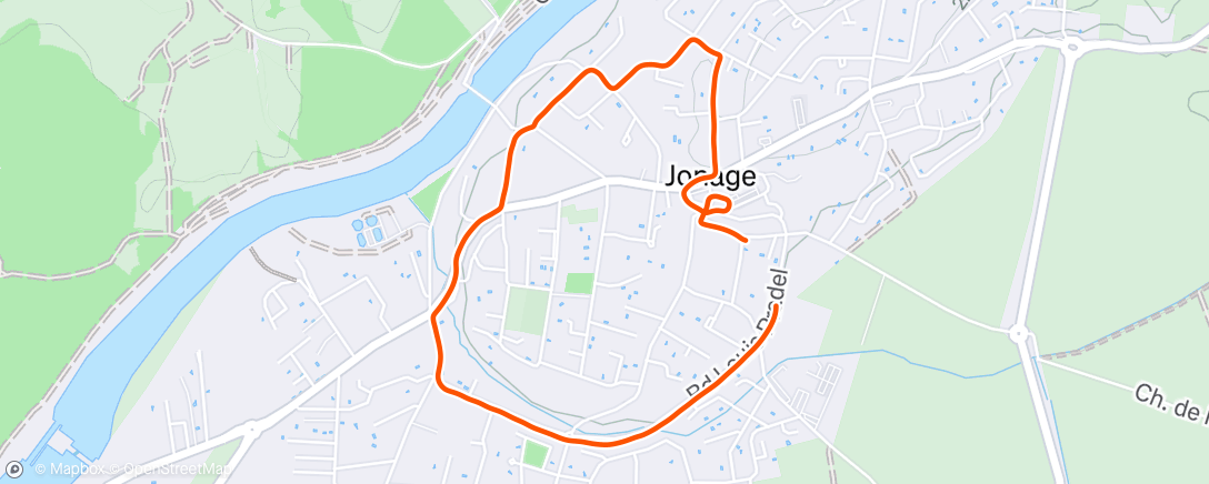 Карта физической активности (Walking 🥖)