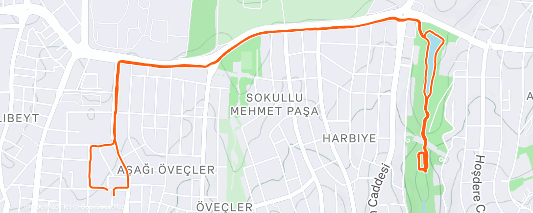 Карта физической активности (Night Run)