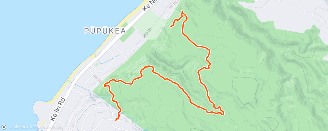 Mapa da atividade, Another good day to jog a dog