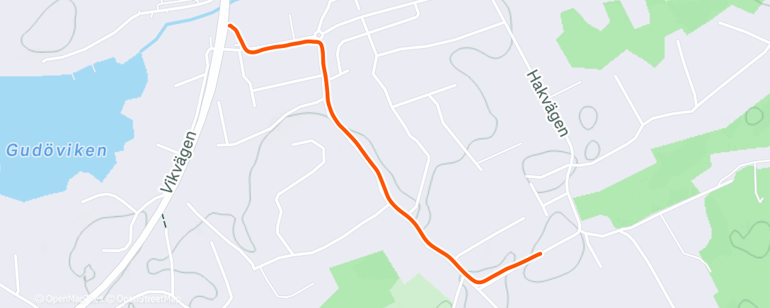 Map of the activity, Afternoon Run