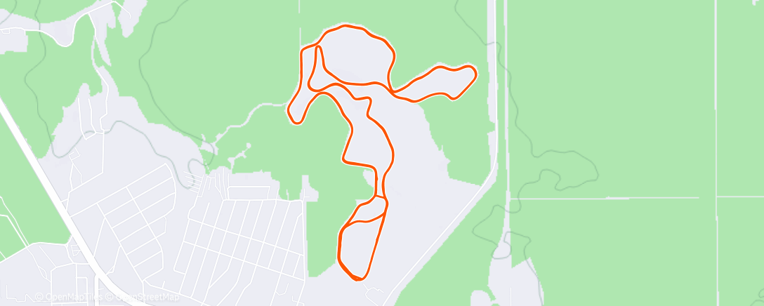 Карта физической активности (Дневной забег)