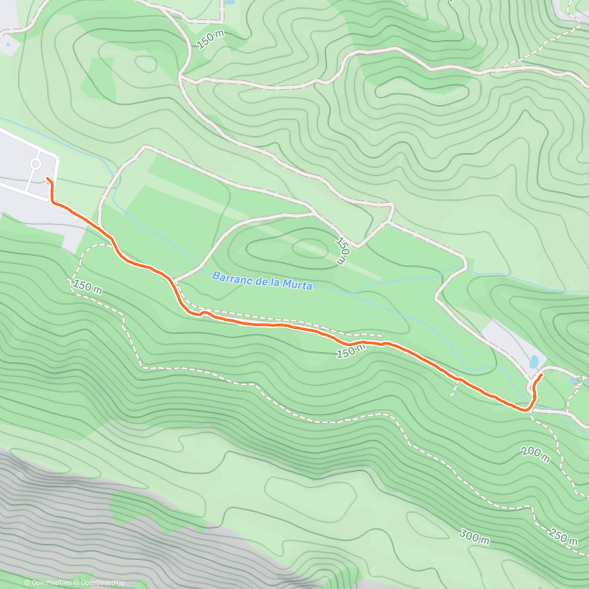 Карта физической активности (Afternoon Walk)