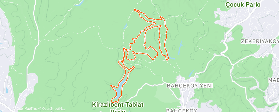 Карта физической активности (Morning Run)