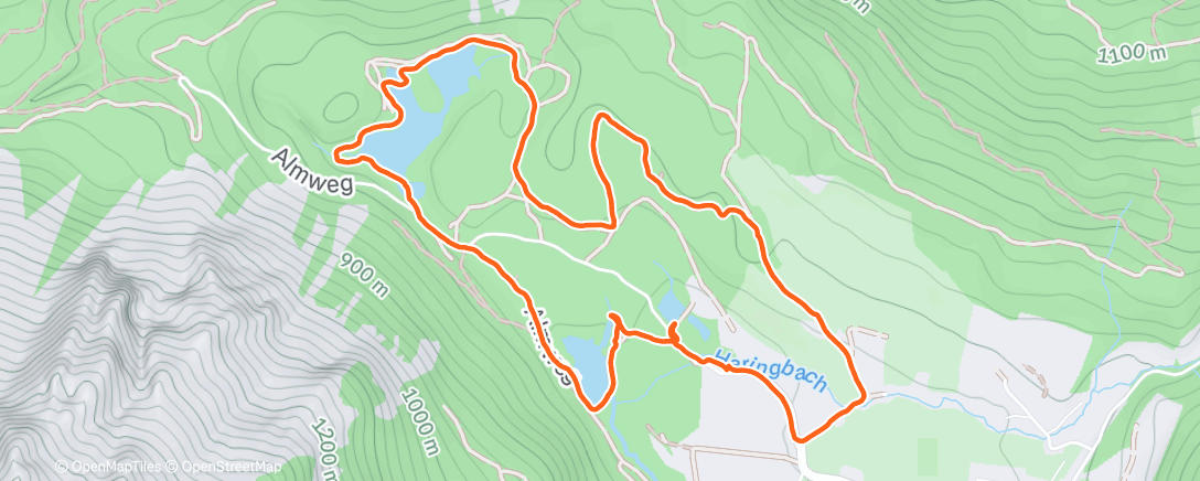 Карта физической активности (Grüner see)