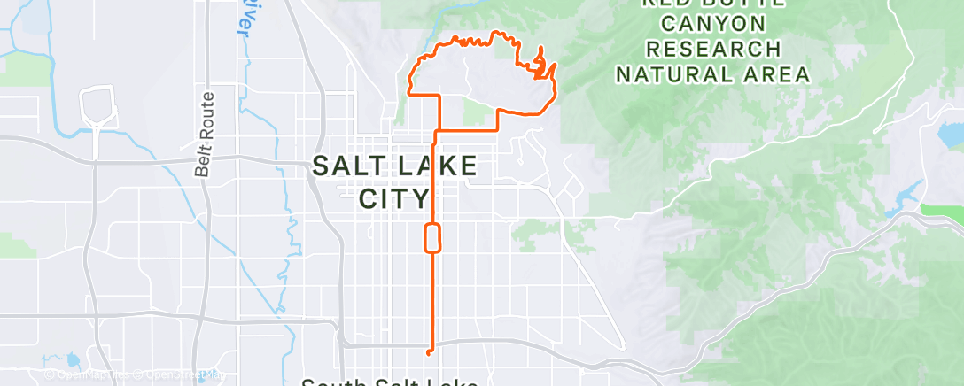 Map of the activity, Afternoon Ride