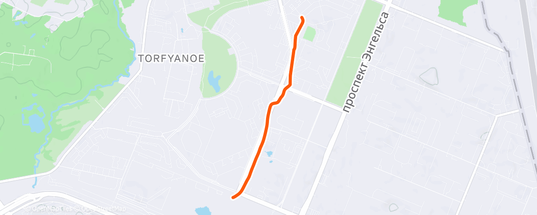 Map of the activity, Morning Run