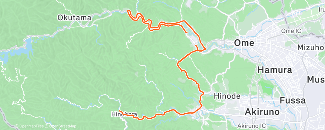 Карта физической активности (Tofu donuts)