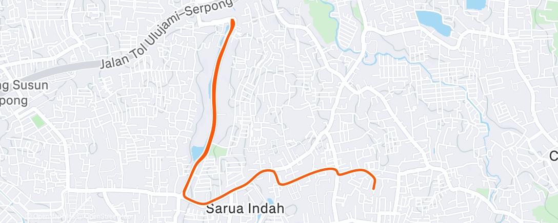 Карта физической активности (ST)