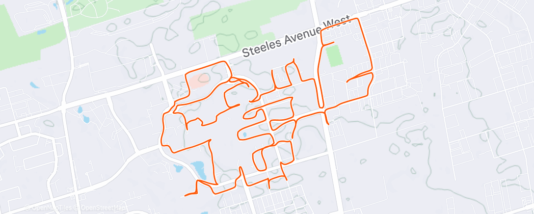 Карта физической активности (Easy Days Easy 🥶)