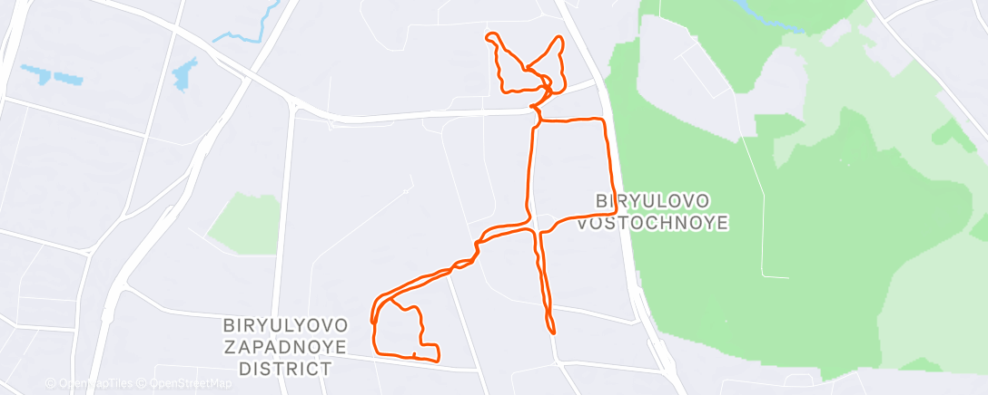 Map of the activity, Дневной забег