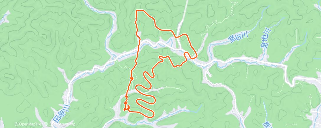 Карта физической активности (L2)