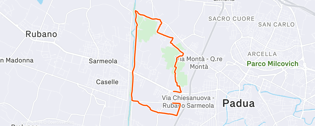 Карта физической активности (Lunch Run)