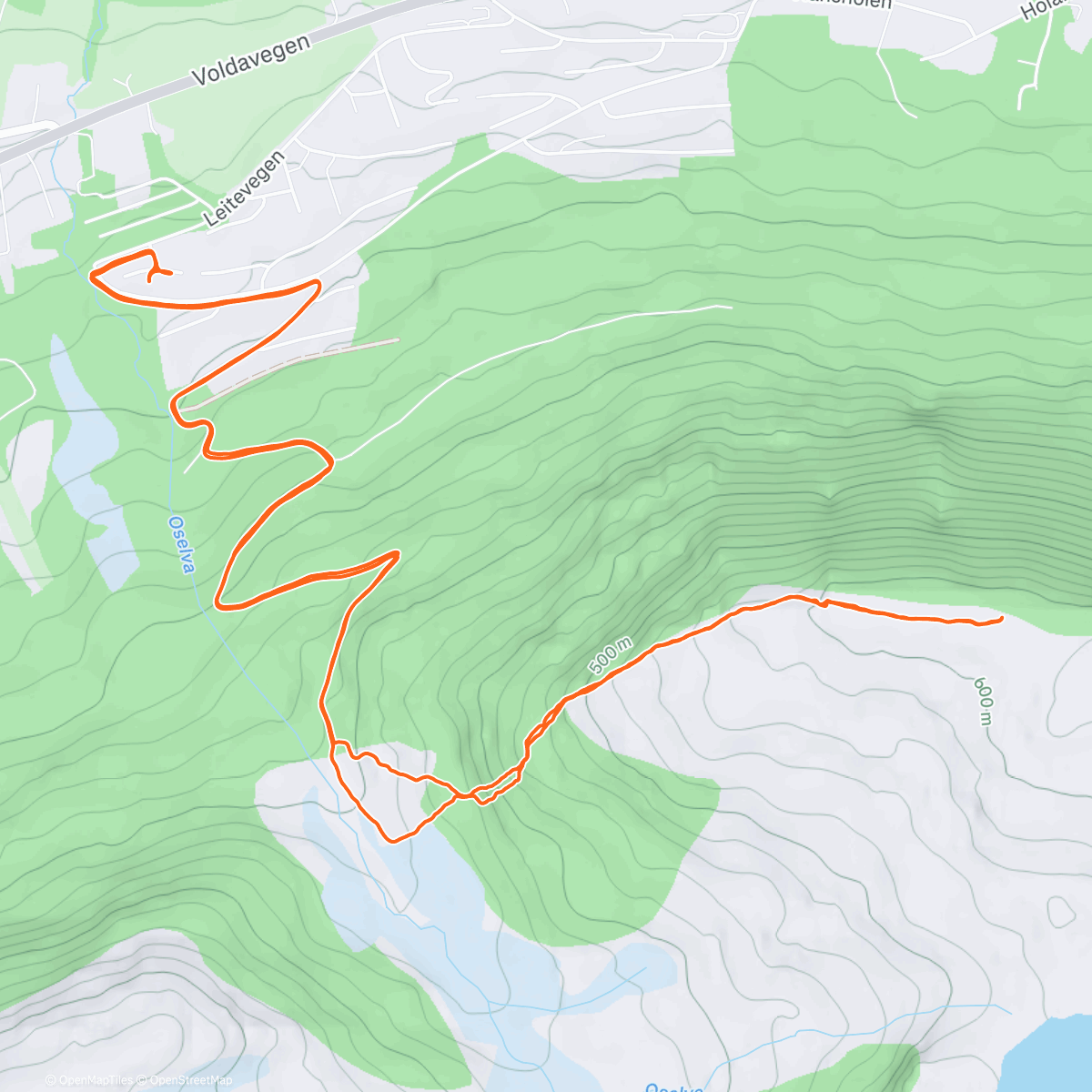 Карта физической активности (Morning Trail Run)