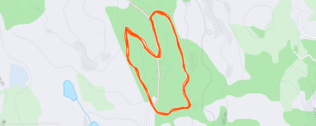 Map of the activity, Evening Run