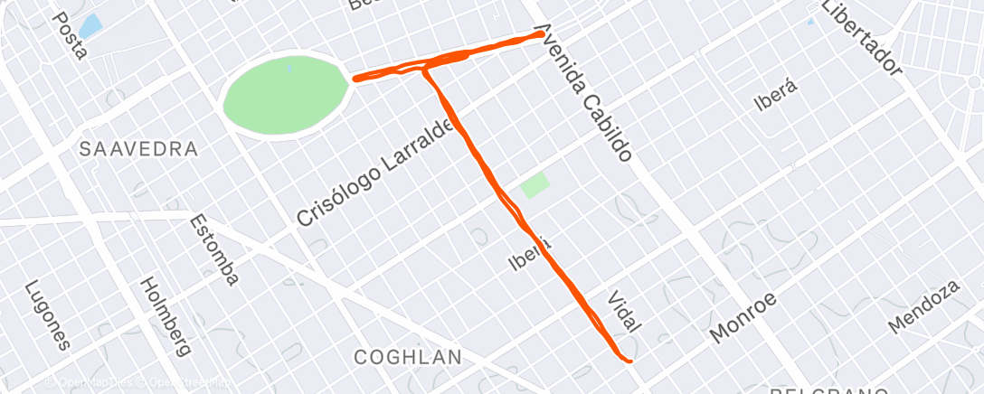 Карта физической активности (Morning Run)