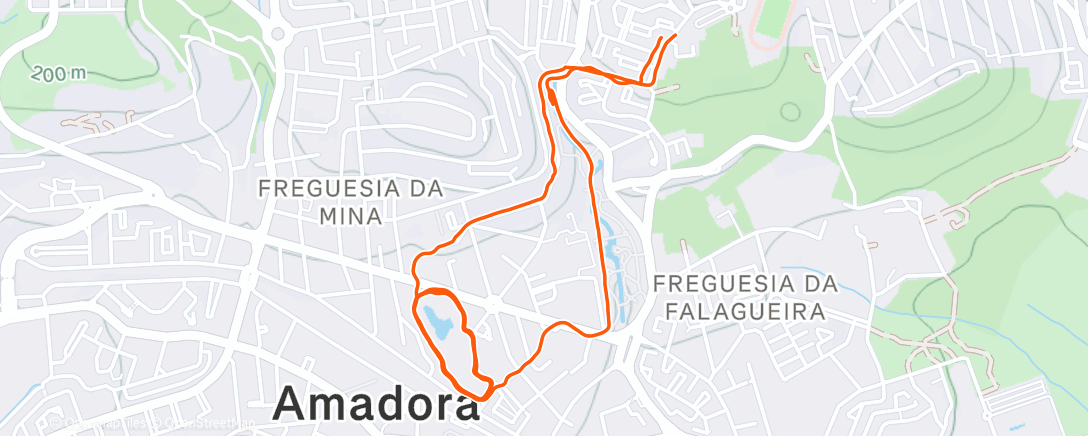 Map of the activity, Parque Central 6 km