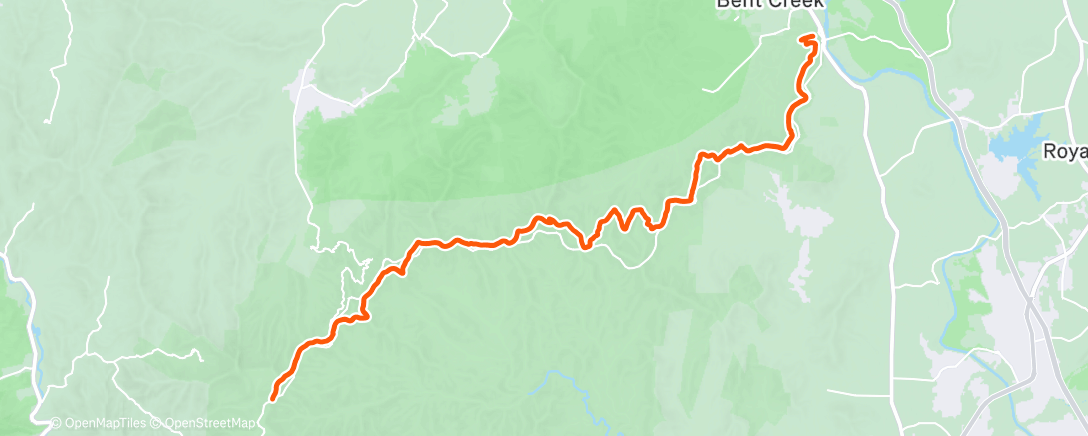 Карта физической активности (Day 31 - The Grand Finale)