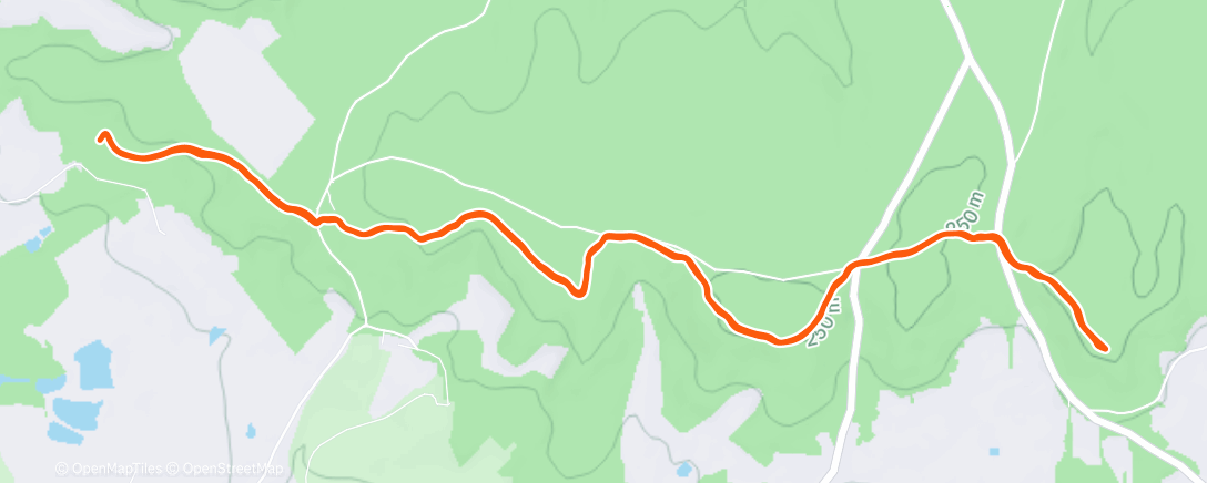 Карта физической активности (Morning Trail Run)