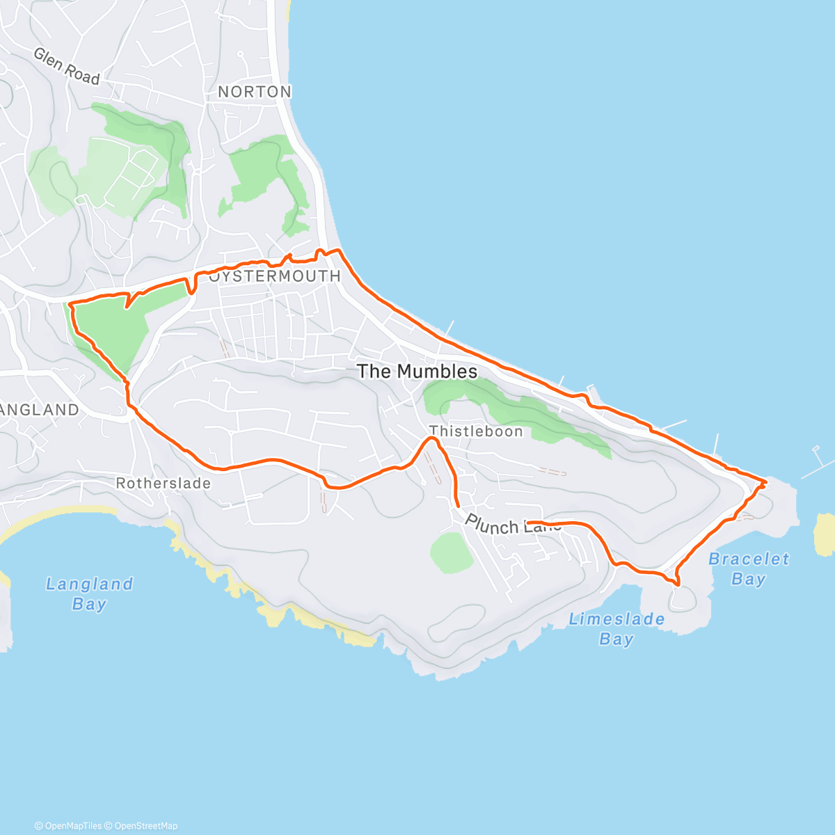 Карта физической активности (Mumbles walk with Roxy & Yvonne)