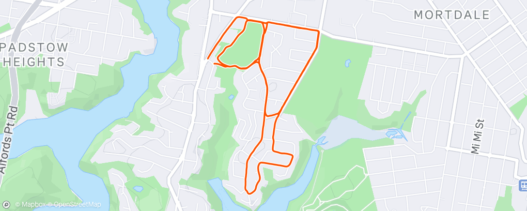 Mapa da atividade, Afternoon Run