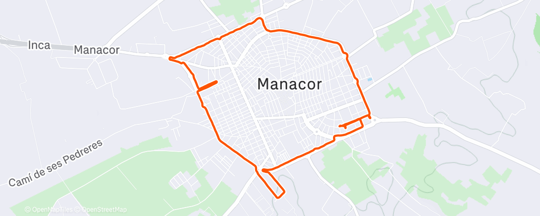 Карта физической активности (Carrera de tarde)