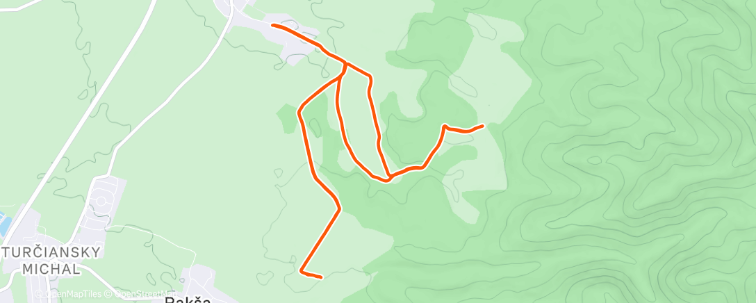 Карта физической активности (iron .run® LK)