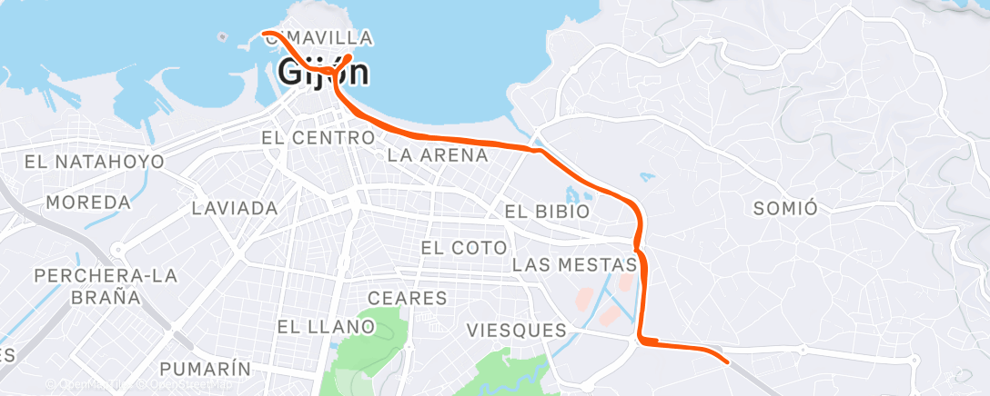 Карта физической активности (Morning Run)