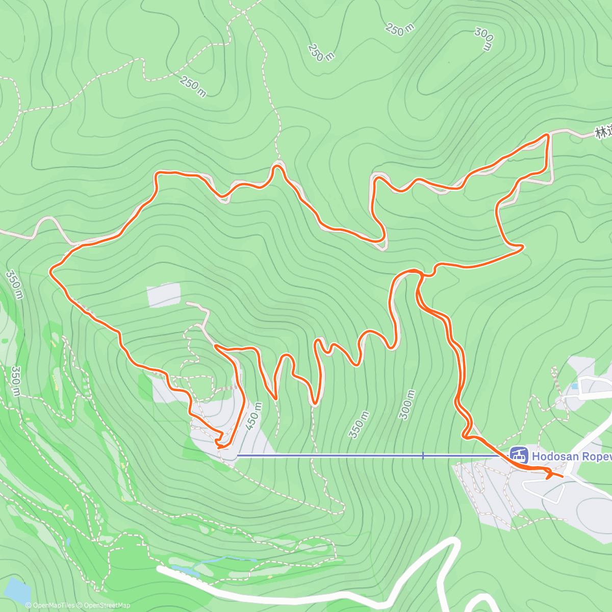Map of the activity, 長瀞 応援ハイキング
