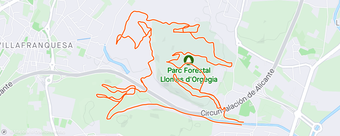 Map of the activity, Orgegia