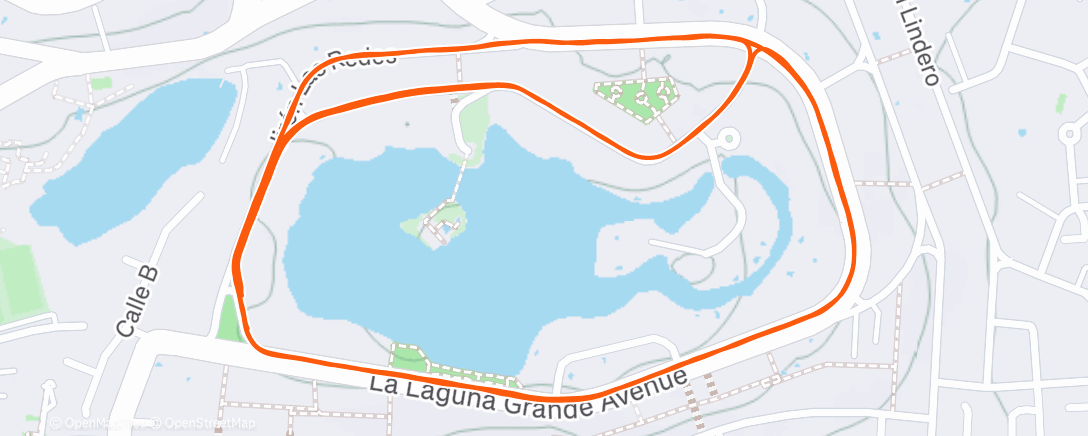 Карта физической активности (Carrera por la mañana)