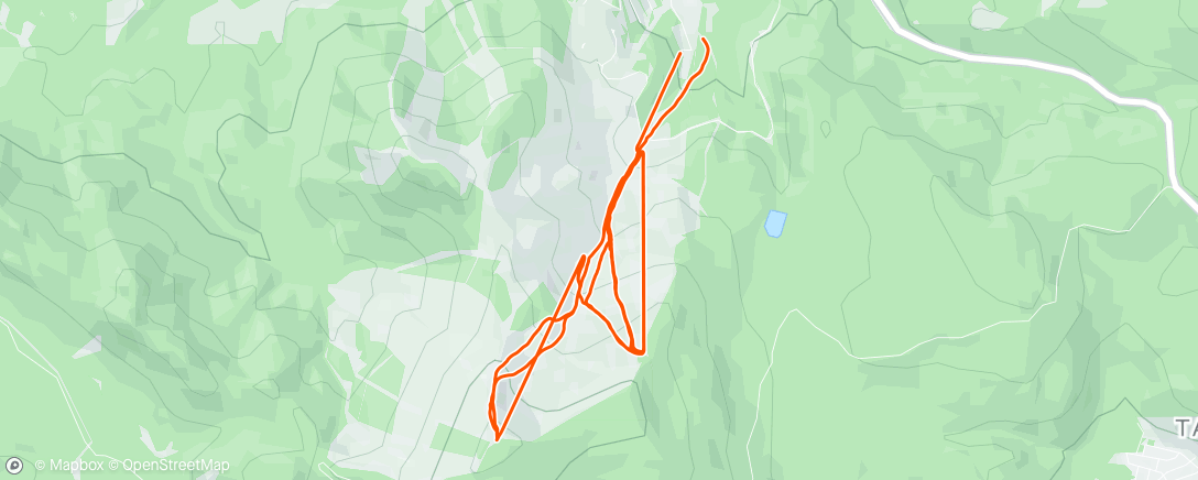 Map of the activity, Afternoon groomers