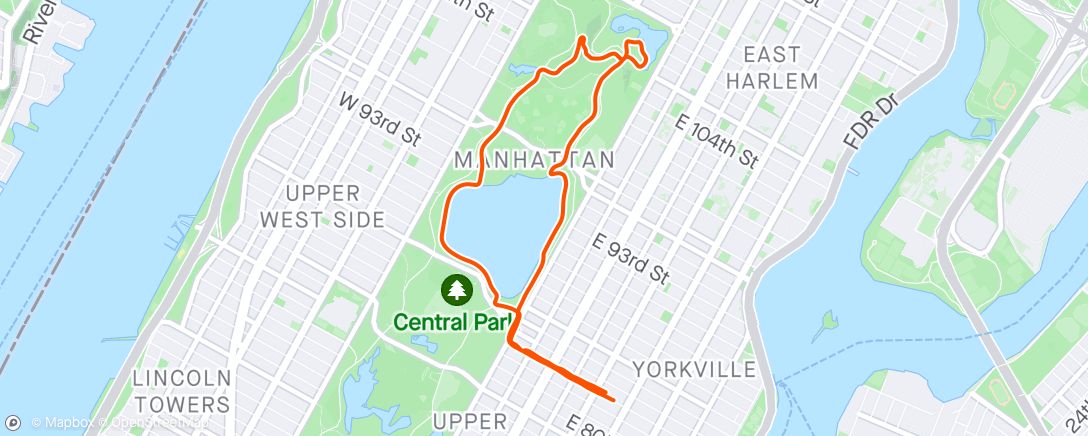 Mappa dell'attività Central Park crit race