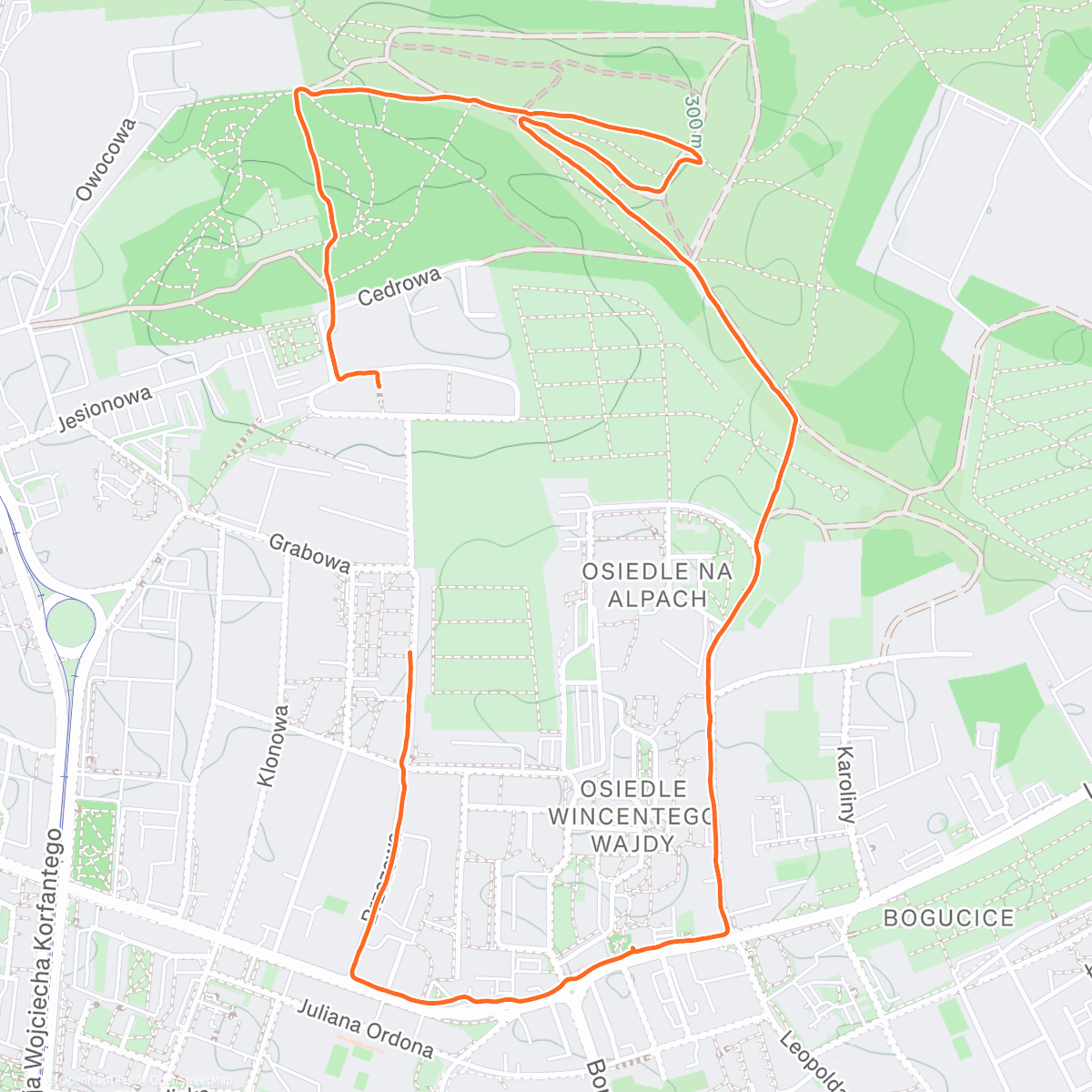 Карта физической активности (Afternoon Walk)