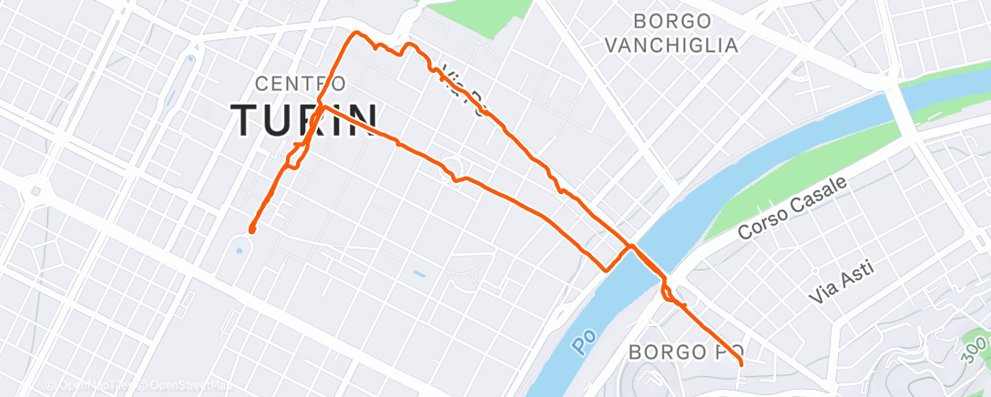 Map of the activity, Camminata per Torino ☺️