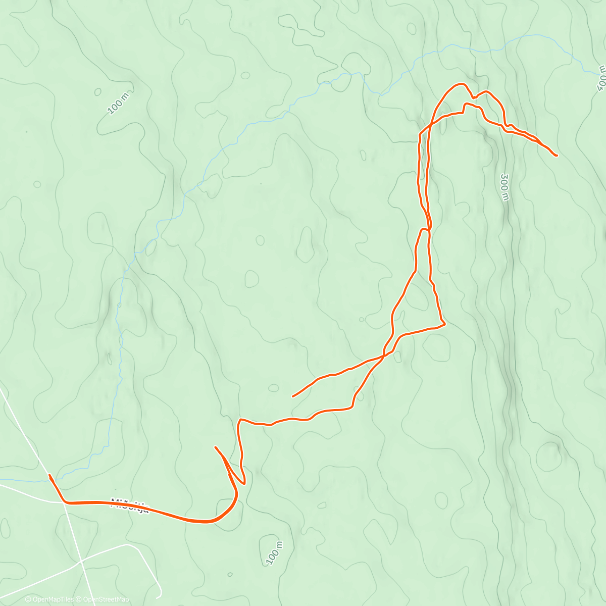 Карта физической активности (Leita af hestum uppí fjalli.)