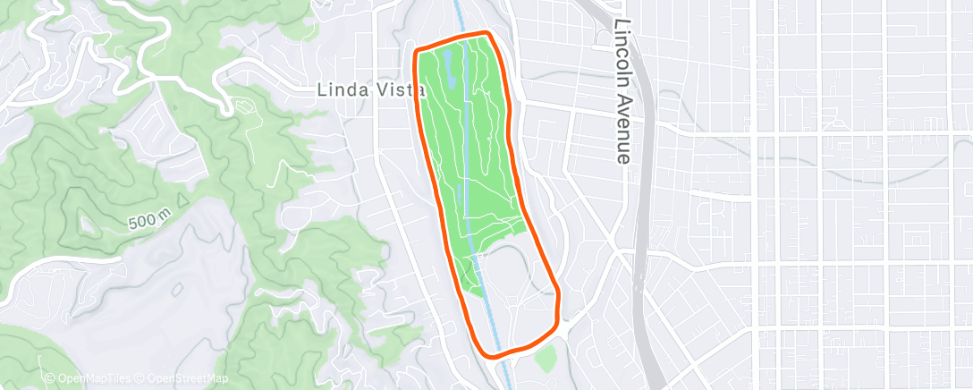 Карта физической активности (Lunch Run)