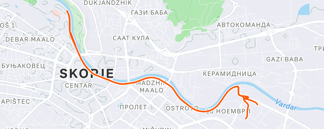 Карта физической активности (Morning Run)