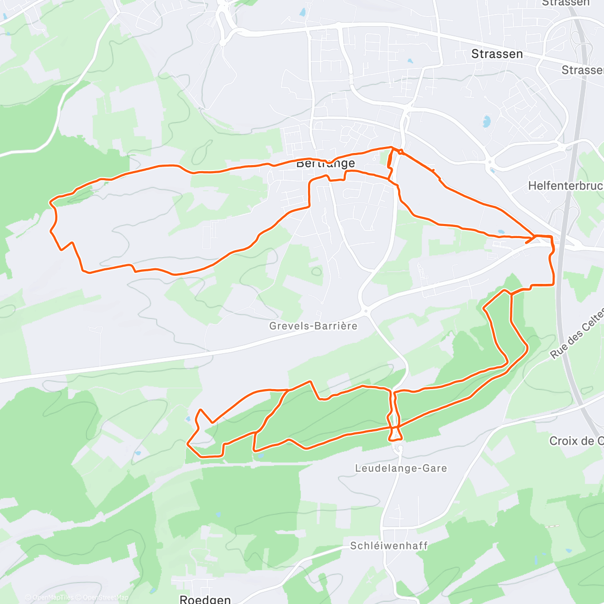 Карта физической активности (Morning Trail Run)