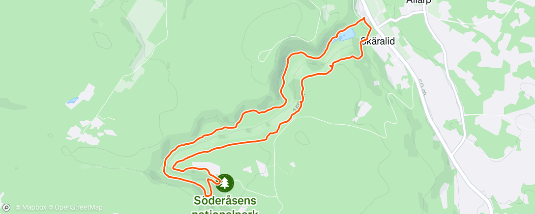 Map of the activity, Evening Run