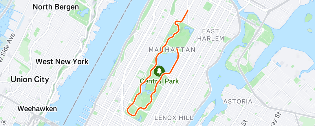 Map of the activity, Back In NYC Jog