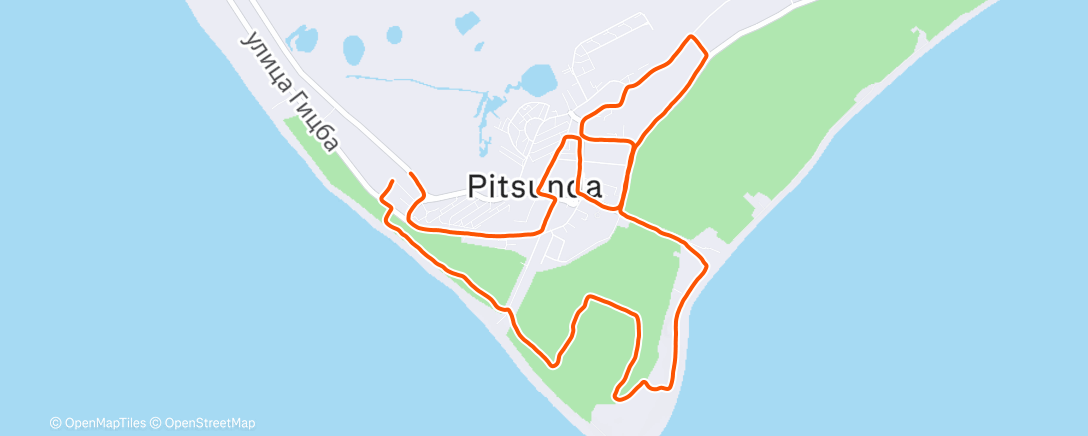 Карта физической активности (Lunch Run)