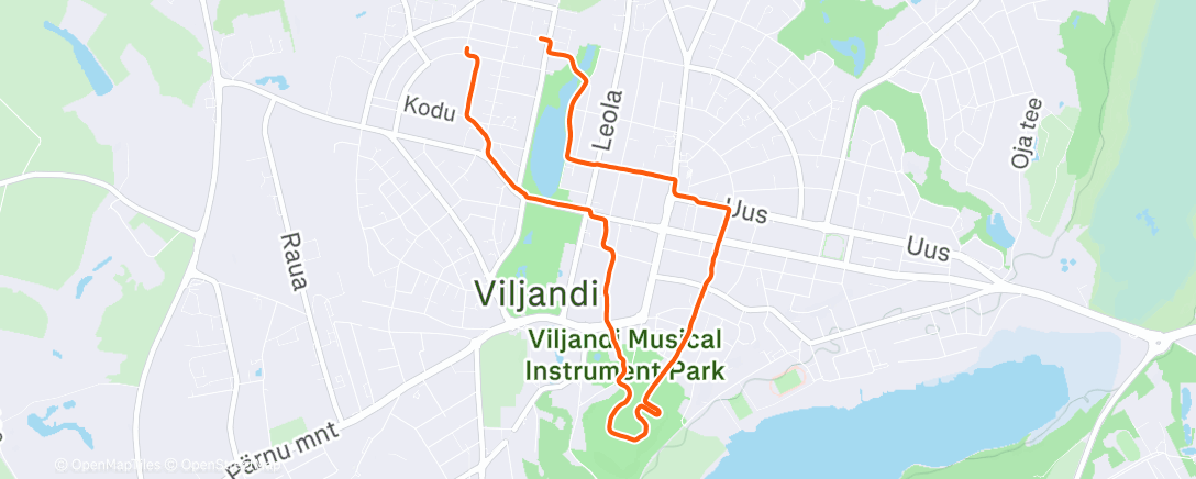 Карта физической активности (Evening Walk)