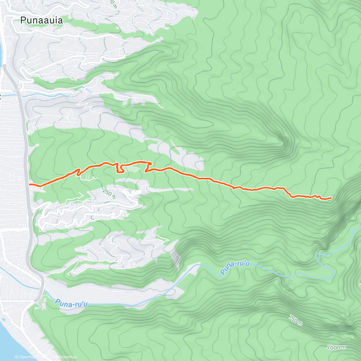 Карта физической активности (👣 🏃🏻 • 📍Vaitavere⛰️ • 🌥️ 👣)
