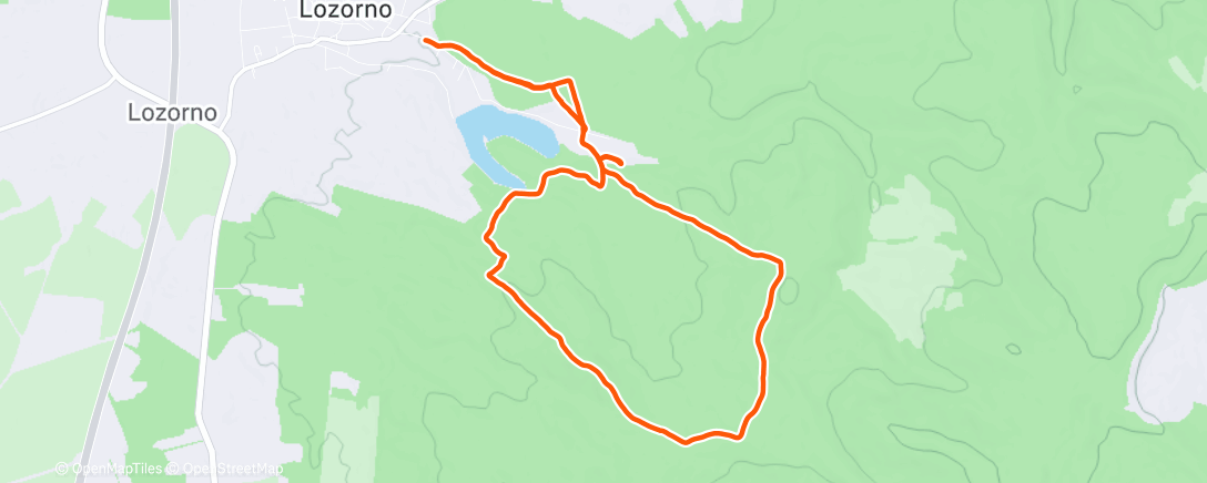Map of the activity, Morning Run