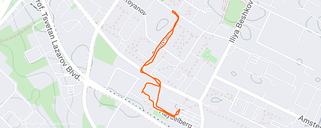 Map of the activity, Morning Walk