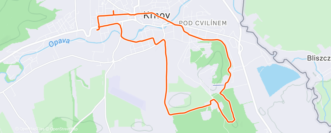 Карта физической активности (Morning Walk)