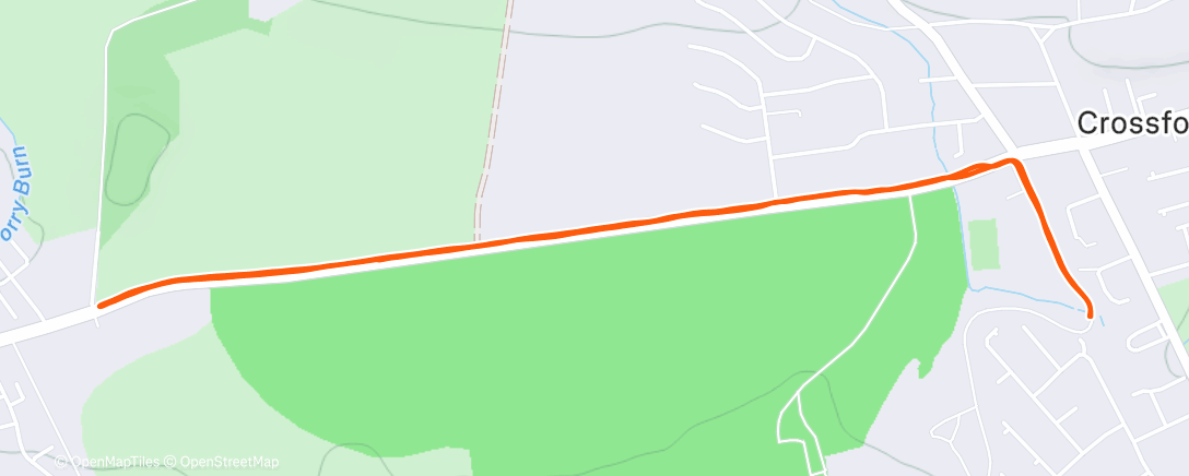 Карта физической активности (Afternoon Trail Run)