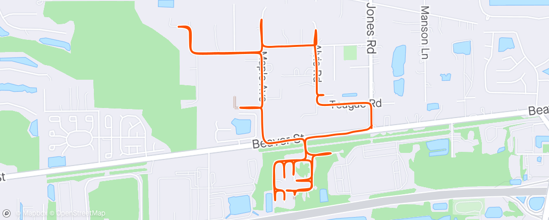 Map of the activity, Every Street - Beaver Jones