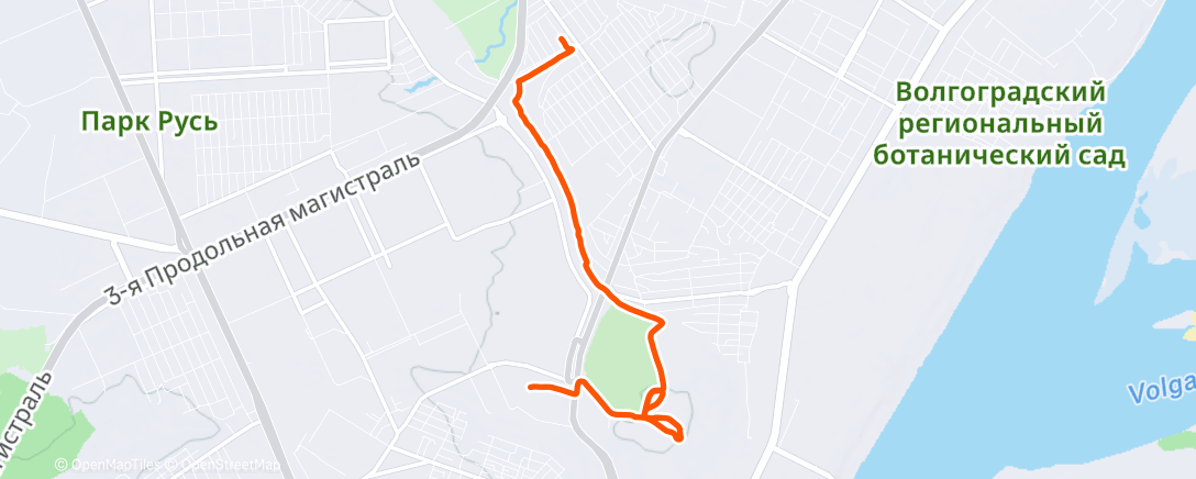 Карта физической активности (Morning Run)